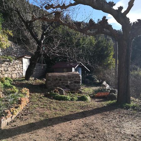 Studio Des Combes Dunieres-sur-Eyrieux Bagian luar foto