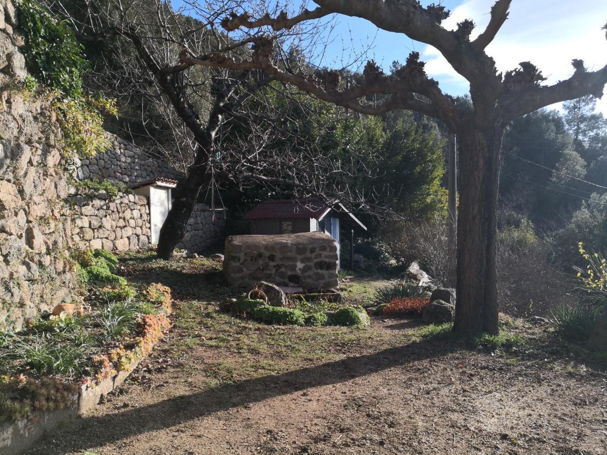 Studio Des Combes Dunieres-sur-Eyrieux Bagian luar foto